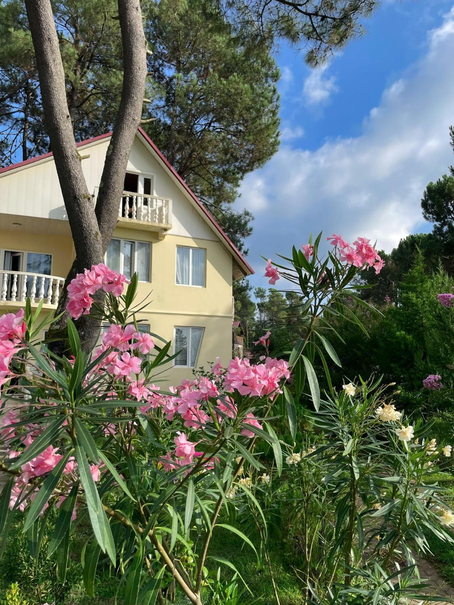 Kaprovani Villa 22 Shekhvetili Exterior foto